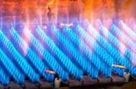 Butterrow gas fired boilers